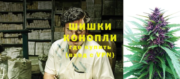 тгк Магас