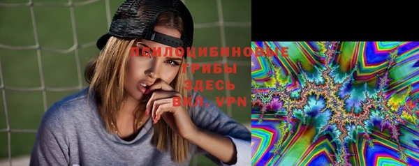 гидропоника Мегион