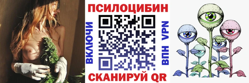 Псилоцибиновые грибы Cubensis Хвалынск